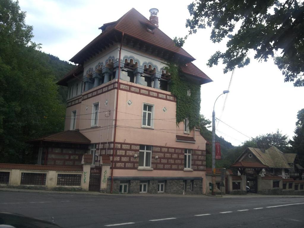 Отель Casa De Odihna Синая Экстерьер фото