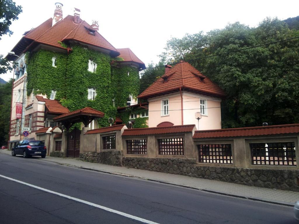 Отель Casa De Odihna Синая Экстерьер фото