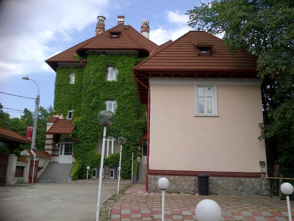 Отель Casa De Odihna Синая Экстерьер фото