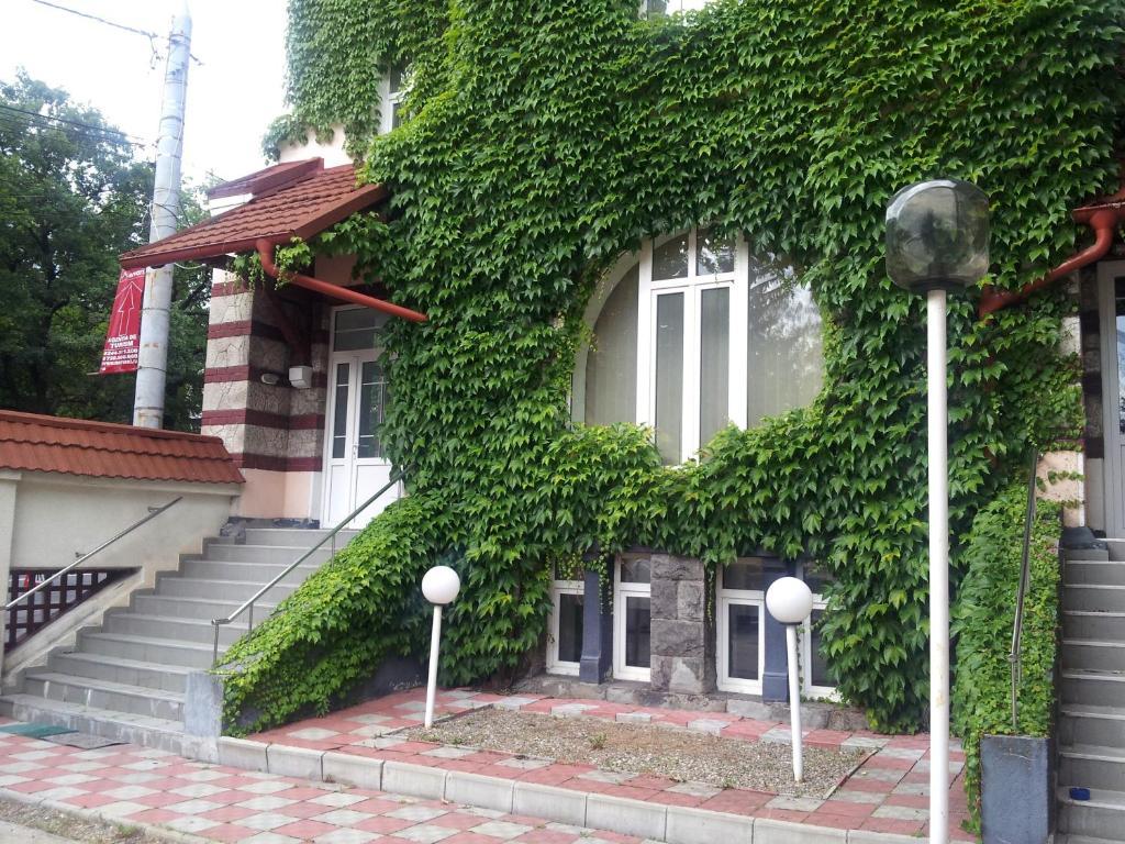 Отель Casa De Odihna Синая Экстерьер фото