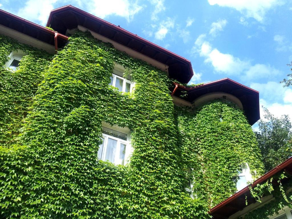 Отель Casa De Odihna Синая Экстерьер фото